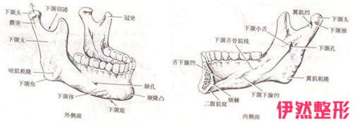 下颌骨磨骨手术风险高吗