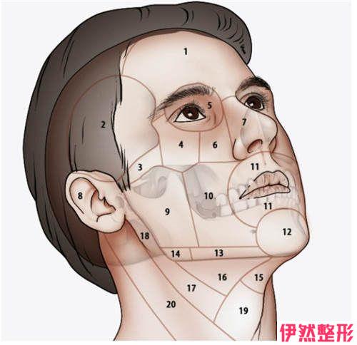 下颌骨整形的禁忌有几种